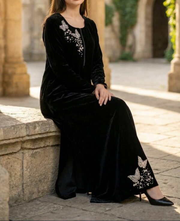 WhatsApp Image 2025-12-26 at 4.16.03 PM (1) Anamira Embroidered Butterfly 2-Piece