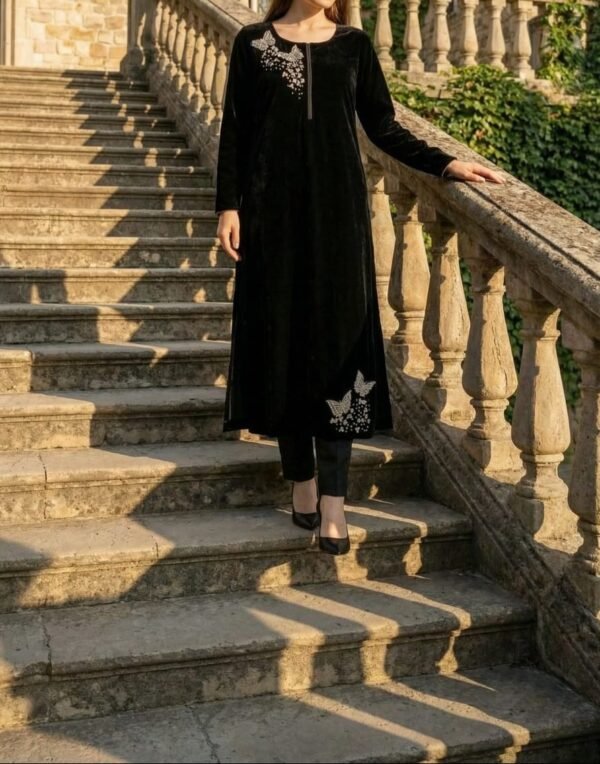 WhatsApp Image 2025-12-26 at 4.16.04 PM (1) Anamira Embroidered Butterfly 2-Piece