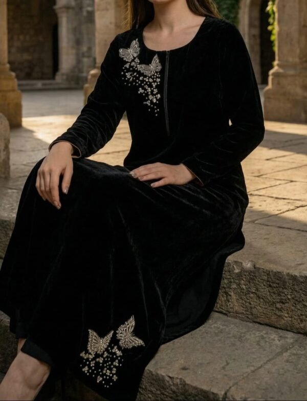 WhatsApp Image 2025-12-26 at 4.16.04 PM Anamira Embroidered Butterfly 2-Piece