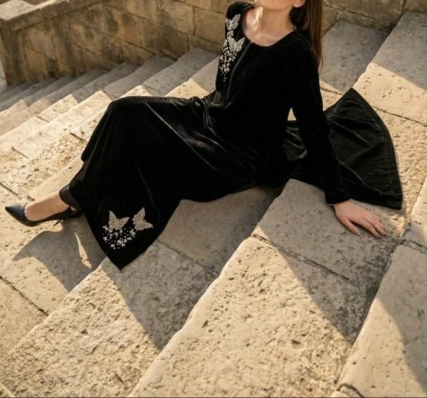 WhatsApp Image 2025-12-26 at 4.16.05 PM Anamira Embroidered Butterfly 2-Piece