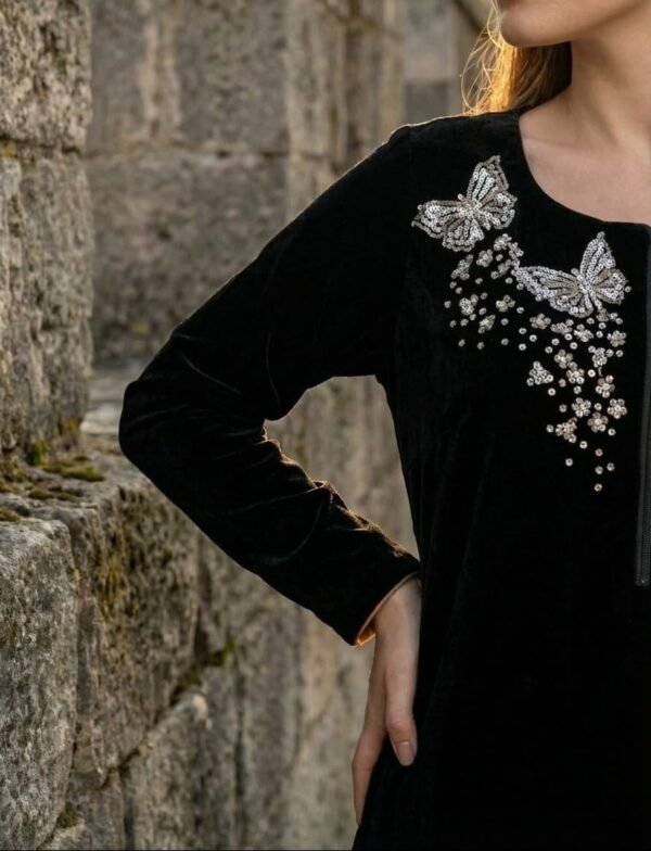 WhatsApp Image 2025-12-26 at 4.16.06 PM (1) Anamira Embroidered Butterfly 2-Piece